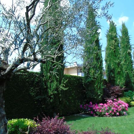 Ai Cipressi B&B Mestrino Kültér fotó